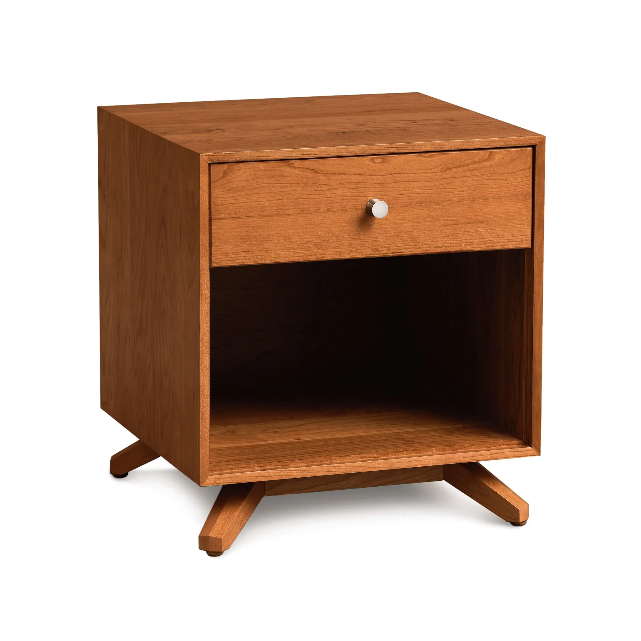 Astrid 1-Drawer Enclosed Shelf Nightstand