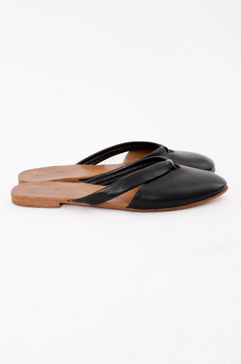 JONI SLIDES