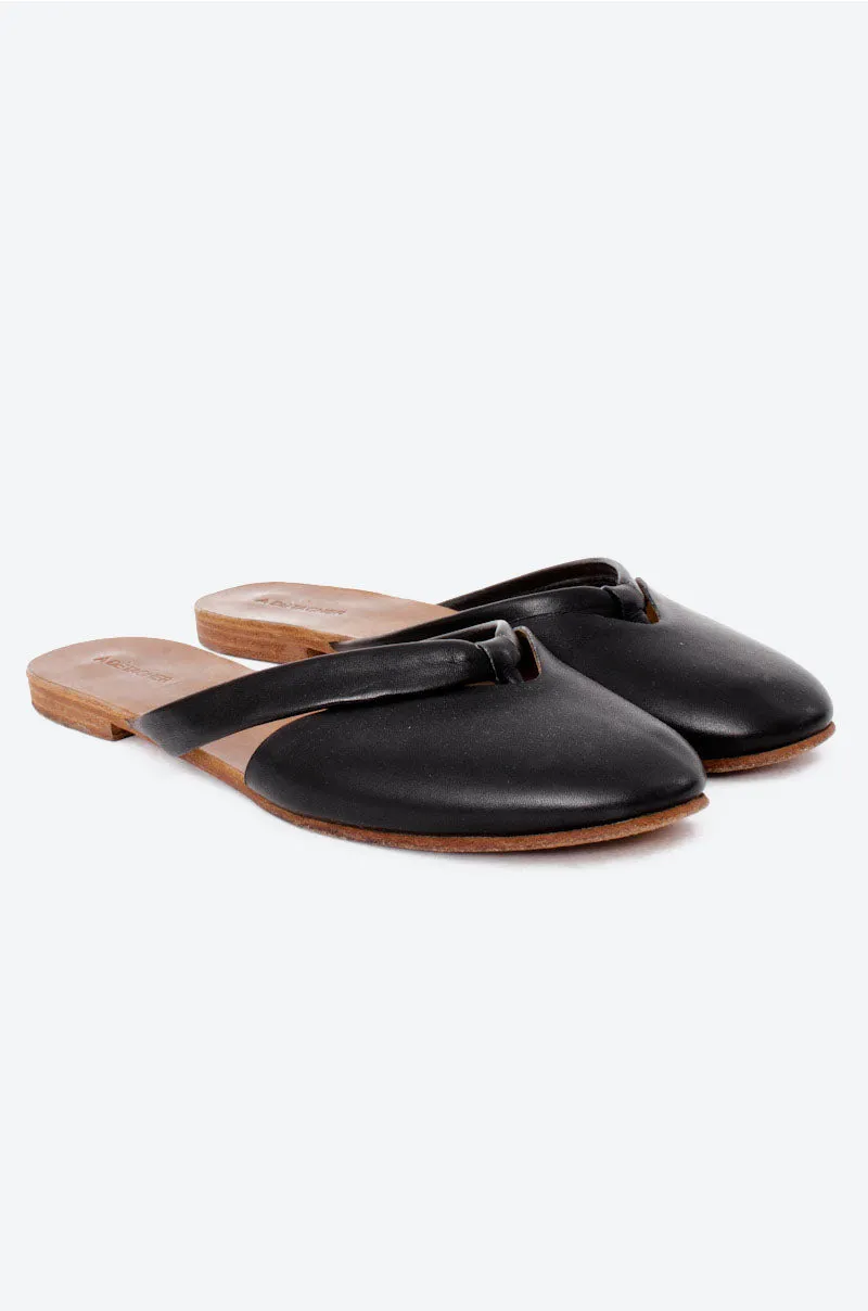 JONI SLIDES